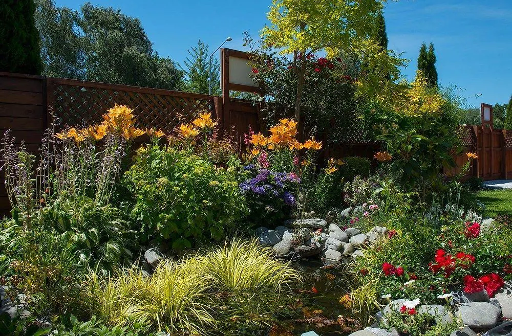 Sunrise Inn Christchurch