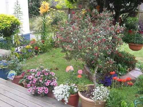 Gasthof Sunrise Inn Christchurch